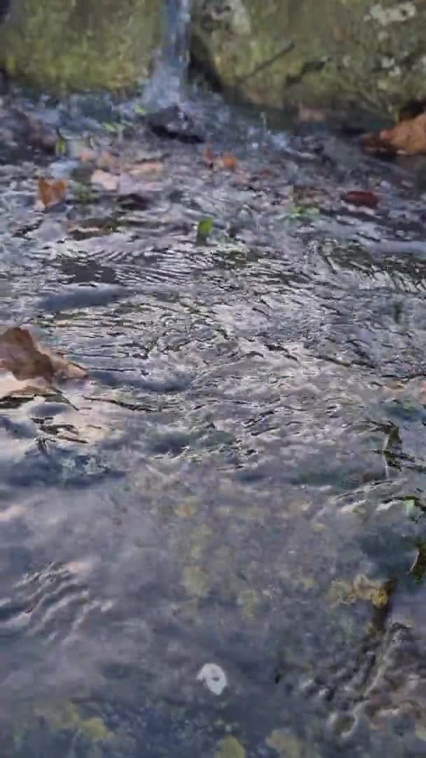 Melt Water Vole Dans Les Cascades Photo Haute Qualité — Video