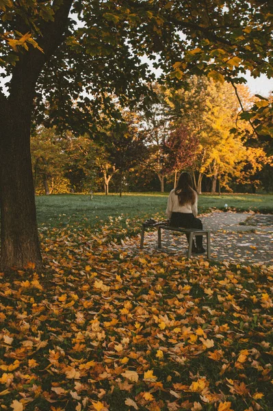 Şehir parkında ağaçlar ve yapraklarla dolu sonbahar manzarası