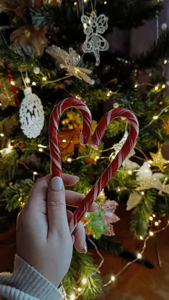 Bir çocuk elinde bir noel ağacı tutuyor. Yeni yıl ve Noel konsepti.