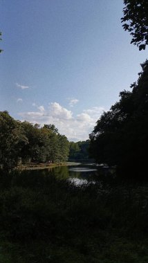 Ağaçlar ve ormanlarla dolu güzel bir manzara.