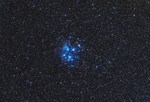 Wide Field Pleiades Also Known Seven Sisters Messier Open Star — Stock Photo, Image