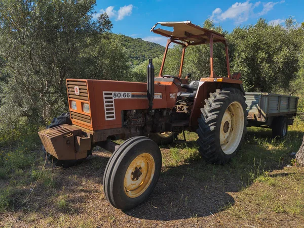 意大利托斯卡纳农村的老菲亚特80 66型拖拉机 装有收获谷物的拖车 — 图库照片