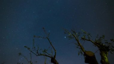 Gökyüzünde güzel bir zaman atlaması yıldızlar ve bulutlar, ön planda zeytin ağacı