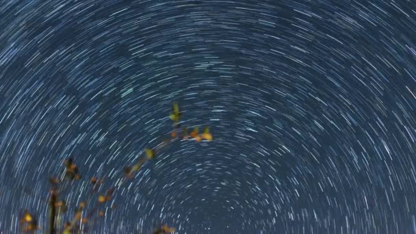 Estela Estrellas Moviéndose Cielo Nocturno Alrededor Estrella Del Norte Paisaje — Vídeos de Stock