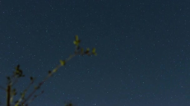 Pierderea Nocturnă Stelelor Care Mișcă Spatele Dealurilor Toscane Vedere Cerului — Videoclip de stoc