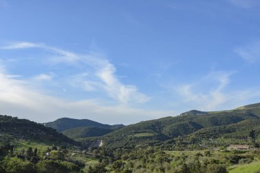 Tepeli Val di Cornia 'nın havadan görünüşü, ekili tarlalar ve deniz, Campiglia Marittima, Toskana, İtalya