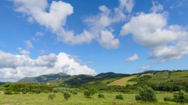 Hareket eden bulutlar, Akdeniz çalıları, zeytin ağaçları ve ekili tarlalarla Toskana kırsalında güzel bir zaman atlaması
