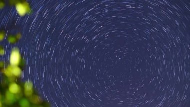 Gece gökyüzünde yıldız izleri, parlak ön planda bitki örtüsü, yıldızların belirgin hareketi ve Kuzey Kutbu çevresinde Kuzey Yıldızı etrafında dairesel desenler oluşturur.