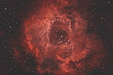 Rosette Bulutsusu (Caldwell 49) Samanyolu Galaksisi 'nin Monoceros bölgesinde bulunan dev bir moleküler bulutun bir ucuna yakın bir H II bölgesidir.