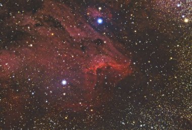 Pelikan Bulutsusu (IC 5070), Kuğu takımyıldızı yönünde bulunan bir H II bölgesi. Yıldız haritası gece gökyüzü arkaplanı