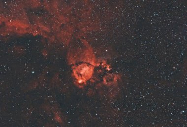 Balık Başı Bulutsusu (