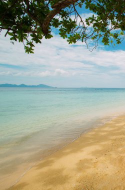 Yaz mevsiminde deniz manzaralı bu çekim büyük dalların kumları ve denizi gölgelediği yerde çekildi..