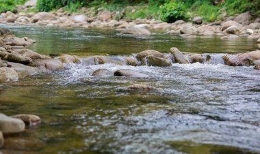 Şelaledeki su akıntısı kayalara çarpar..