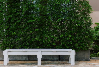 Lonely white wooden park bench, green leafy background. Landscaping of the park