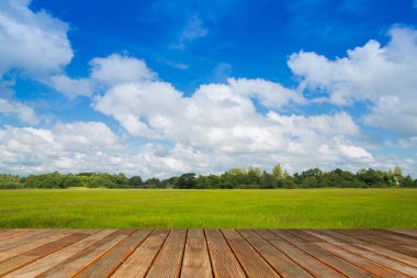 Güzel ahşap zemin ve pirinç tarlasının ortasında parlak gökyüzü..