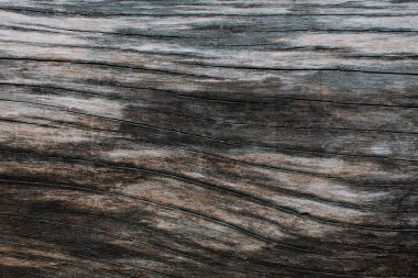 Gri ve kahverengi kabuğun güzel doğal desenleri ve dokuları. arkaplan için kullan