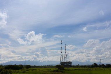 Yüksek gerilim pole ve Tay çiftlik