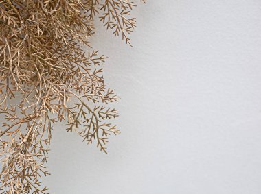 Beyaz kopyalama alanı olan altın dallar, boş boşluktaki metin eklemek için uygun.