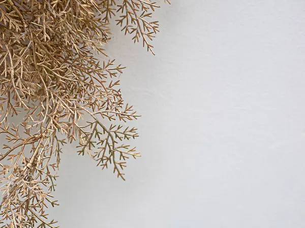 Beyaz kopyalama alanı olan altın dallar, boş boşluktaki metin eklemek için uygun.