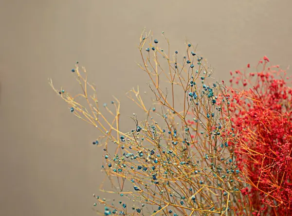 Kuru çiçek dalları, dallara odaklan.