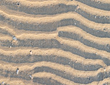 Kumsalın yüzeyi kum tepeciği ve deniz kabuğu parçaları yazın.