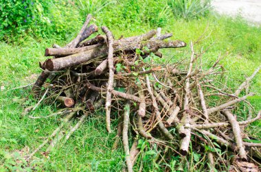 Pile of branches piled up to be used as firewood.