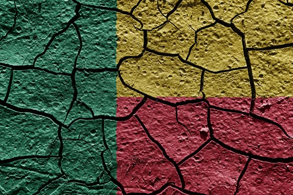 Benin Flag Mud Texture Dry Crack Ground — Stock Photo, Image