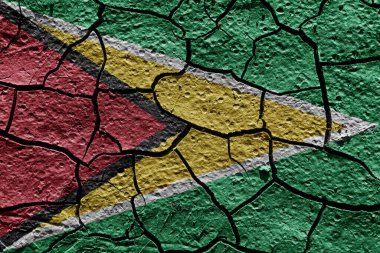 Guyana flag on a mud texture of dry crack on the ground