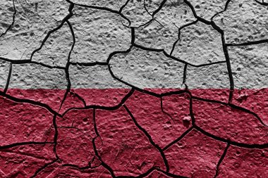 Poland flag on a mud texture of dry crack on the ground