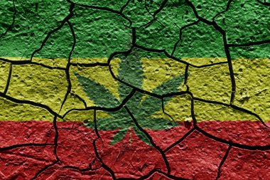 Rasta flag on a mud texture of dry crack on the ground clipart
