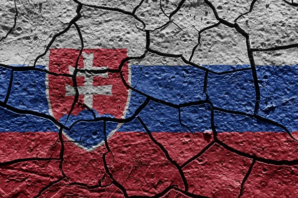 Slovakia Flag Mud Texture Dry Crack Ground Imagen De Stock