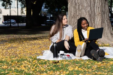 İki genç kadın, bir Kafkasyalı ve bir Afrikalı Amerikalı, parkta dizüstü bilgisayar kullanıyorlar, bir sonbahar öğleden sonrasında battaniyenin üzerinde oturuyorlar..