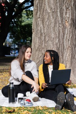 İki genç kadın, bir Kafkasyalı ve bir Afrikalı Amerikalı, parkta dizüstü bilgisayar kullanıyorlar, bir sonbahar öğleden sonrasında battaniyenin üzerinde oturuyorlar..