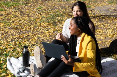İki genç kadın, bir Kafkasyalı ve bir Afrikalı Amerikalı, parkta dizüstü bilgisayar kullanıyorlar, bir sonbahar öğleden sonrasında battaniyenin üzerinde oturuyorlar..