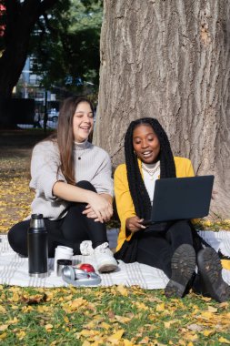 İki bayan arkadaş, biri beyaz, biri örgü ören bir Afro-Amerikalı, parktaki bir battaniyenin üzerinde video bağlantısı olan bir laptop kullanıyorlar..