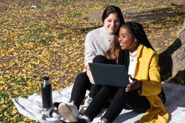 İki bayan arkadaş, bir Kafkasyalı ve bir Afro-Amerikalı, laptop ve kredi kartıyla alışveriş yapıyorlar, parkta bir battaniyenin üzerinde oturuyorlar..