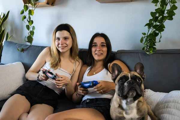 best friends playing video games on the couch at home having fun and laughing. young woman with fair complexion and young woman with tanned complexion with her french bulldog on the side.