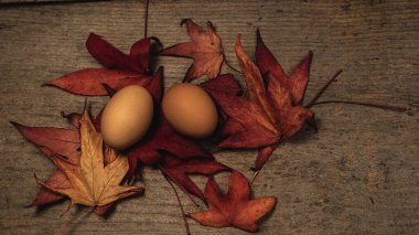 Tahta bir masada sırayla duran kuru yaprakların üzerinde iki tavuk yumurtası.