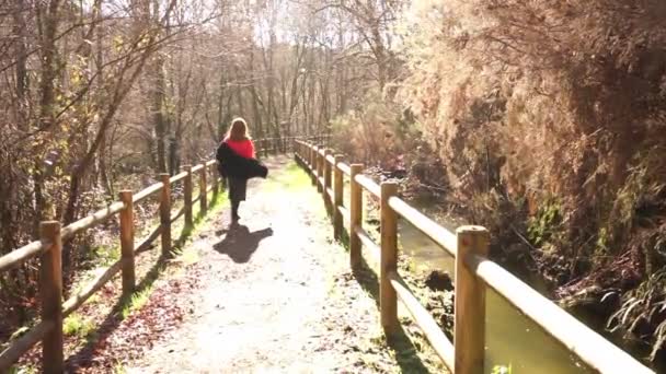 Woman Path Marked Fence Middle Forest Trees Leaves Sunny Day — Vídeo de stock