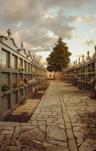 Paseo Empedrado Cementerio Con Tumbas Aéreas Árbol Cielo Con Nubes — Foto de Stock
