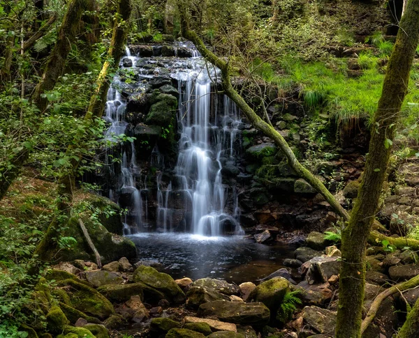 Rio Montanha Que Jogado Uma Cachoeira Formando Uma Piscina Natural — Fotografia de Stock