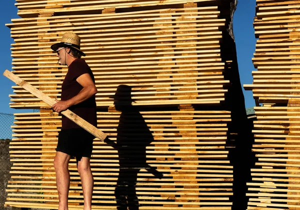 Man walks with a stick in his hand next to some piles of wood where his shadow is reflected