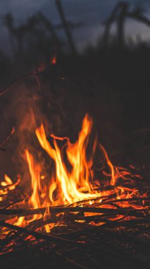 Geceleyin şenlik ateşinde organik madde tüketiliyor.