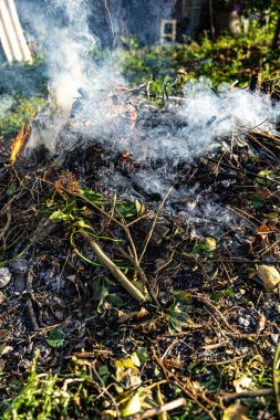 Winter bonfire to burn the remains generated by the care of a garden clipart
