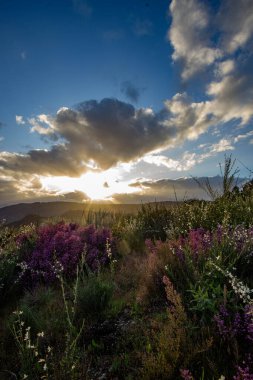 Güneş bir bahar öğleden sonra dağın arkasında batıyor. Çiçek açan bitkiler ve gökyüzünde bulutlar var.