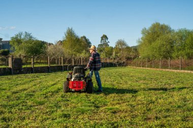 Bahçedeki kırmızı traktörde elma ve armut ağaçlarıyla çim biçen bir adam. Kırsal alanda iş botları ve flanel giyiyor..
