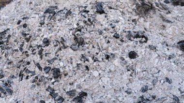 Kömür kalıntılarıyla birlikte beyaz ve siyah odun külü yığınının yakın görüntüsü, yanmadan sonra kaba doku ve doğal desenleri gösteriyor.