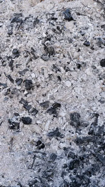 Kömür kalıntılarıyla birlikte beyaz ve siyah odun külü yığınının yakın görüntüsü, yanmadan sonra kaba doku ve doğal desenleri gösteriyor.