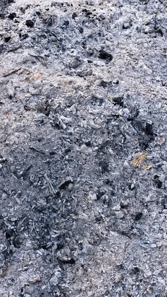 Kömür kalıntılarıyla birlikte beyaz ve siyah odun külü yığınının yakın görüntüsü, yanmadan sonra kaba doku ve doğal desenleri gösteriyor.