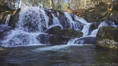 Yoğun bir ormanın ortasında, sarp kayaların üzerinden akan berrak bir şelale canlı bir doğal manzara, tazelik ve hareket hissi yaratıyor..